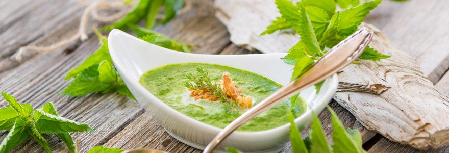Comment Traiter La Prostate Par Les Plantes  Mon Blog Jardinage