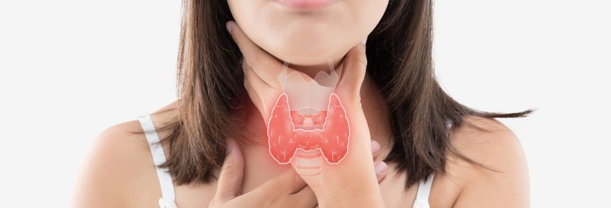 Problèmes de thyroïde : quels compléments alimentaires naturels employer ?