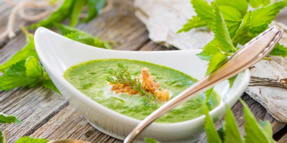 Se soigner et préserver sa santé grâce aux plantes